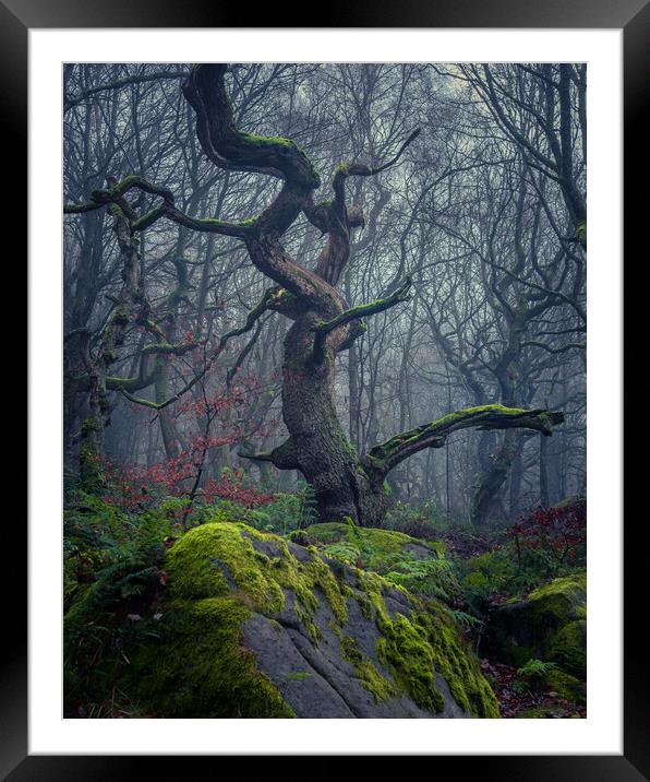 Misty Padley Gorge Framed Mounted Print by Paul Andrews