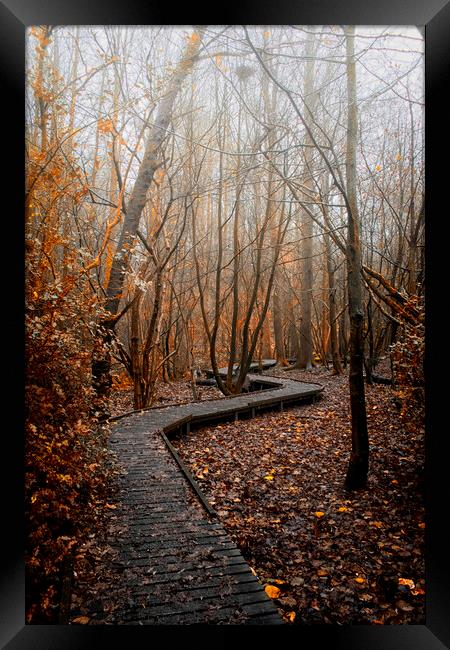 Foggy nature trail Moses Gate Little Lever Bolton Framed Print by Jonathan Thirkell