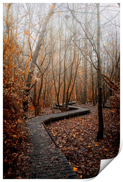 Foggy nature trail Moses Gate Little Lever Bolton Print by Jonathan Thirkell