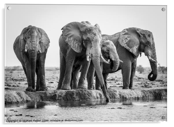 Elephants at Nxai Pan, Botswana Acrylic by Graham Fielder