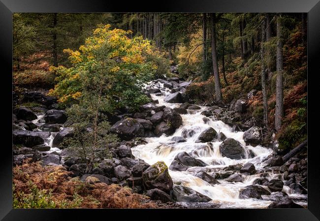 Scottish River tumbling over rocks Framed Print by Roger Daniel