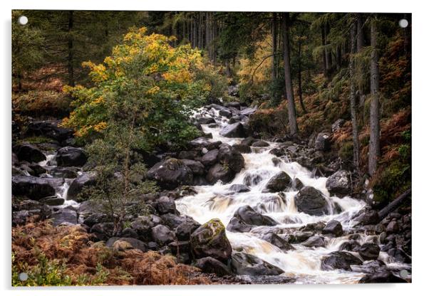 Scottish River tumbling over rocks Acrylic by Roger Daniel