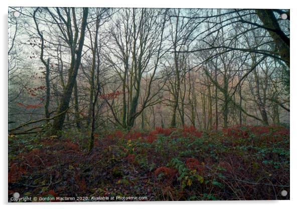 Misty Woodland Acrylic by Gordon Maclaren