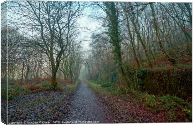 Path in to the mist Canvas Print by Gordon Maclaren