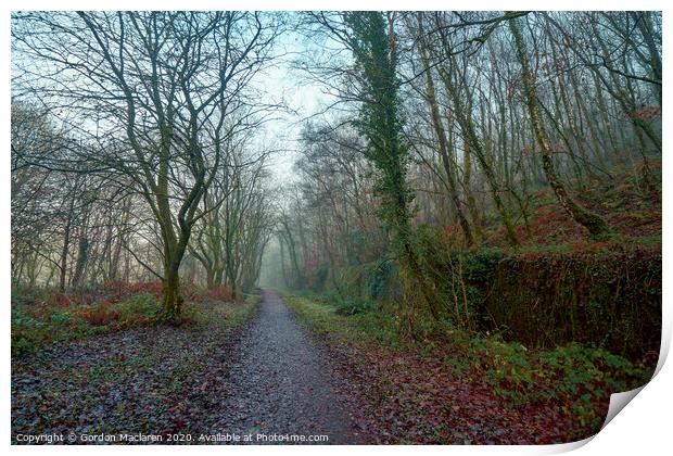 Path in to the mist Print by Gordon Maclaren