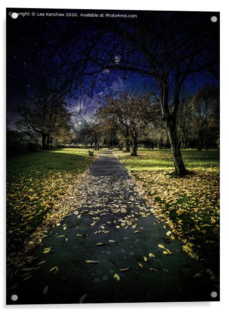 Path of Dreams Acrylic by Lee Kershaw