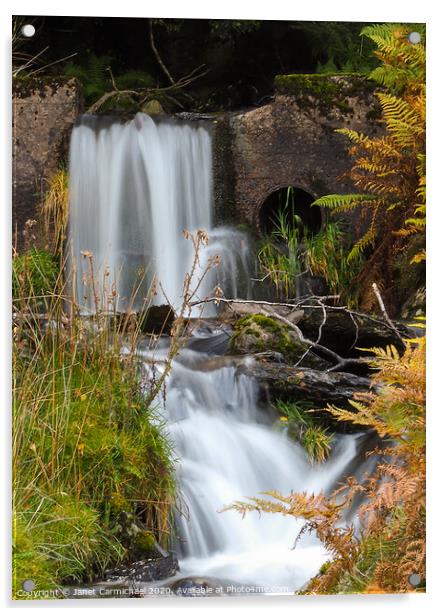 Serene Secret Waterfall Acrylic by Janet Carmichael