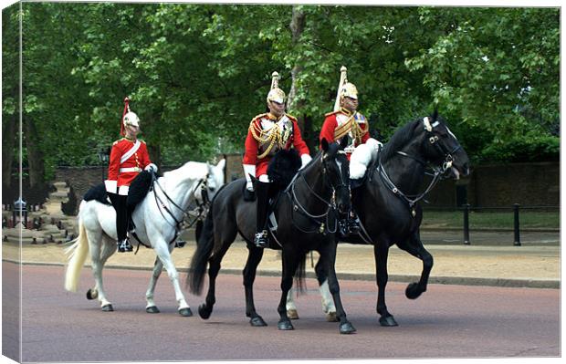Household Cavalry Canvas Print by Chris Day