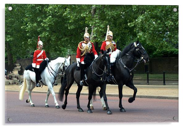 Household Cavalry Acrylic by Chris Day