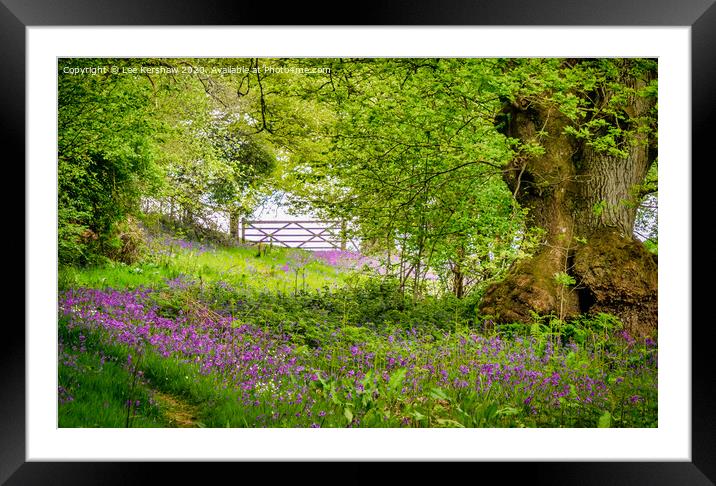 Thoughts of Spring Framed Mounted Print by Lee Kershaw