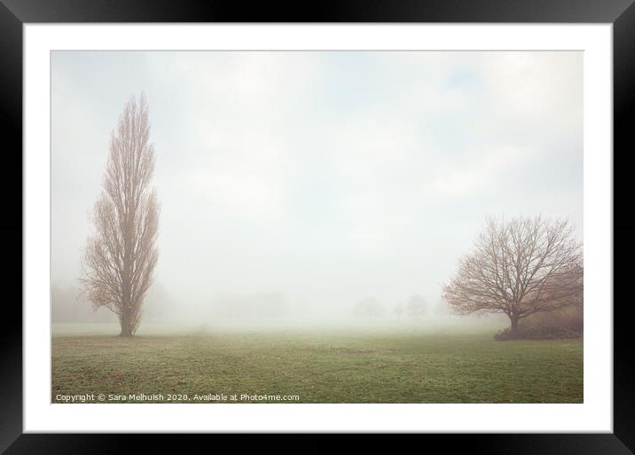 Two trees in the fog Framed Mounted Print by Sara Melhuish