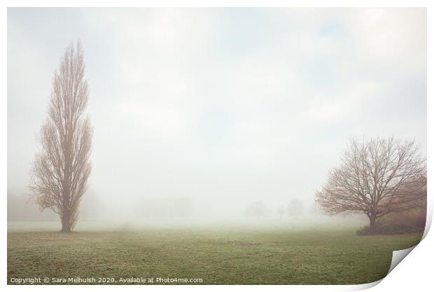 Two trees in the fog Print by Sara Melhuish