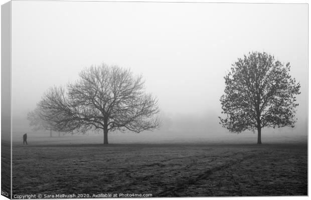 Two trees and a man in the fog Canvas Print by Sara Melhuish