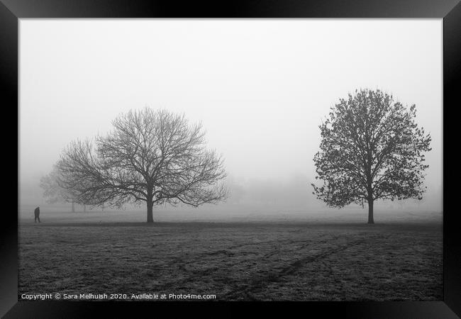 Two trees and a man in the fog Framed Print by Sara Melhuish