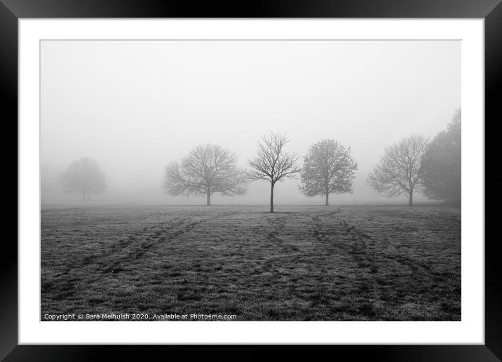 Trees in the fog Framed Mounted Print by Sara Melhuish