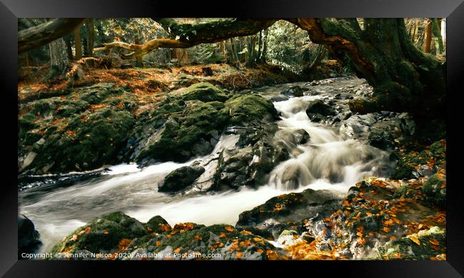Shimna River - Tollymore Forest Framed Print by Jennifer Nelson