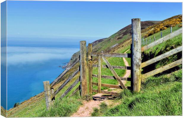 Gateway to Foreland Point Canvas Print by austin APPLEBY