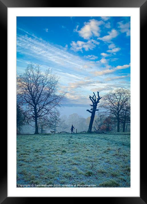 Frosty morning dog walk, Part 2 Framed Mounted Print by Sara Melhuish