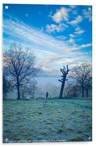 Frosty morning dog walk, Part 2 Acrylic by Sara Melhuish