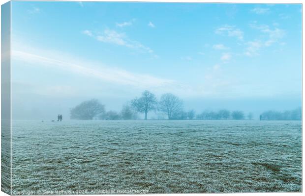Frosty meadow Canvas Print by Sara Melhuish