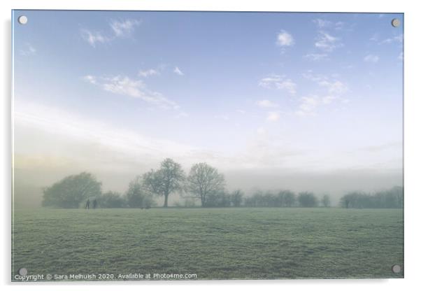 Misty meadows Acrylic by Sara Melhuish