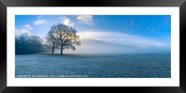 The fog  in the meadows Framed Mounted Print by Sara Melhuish