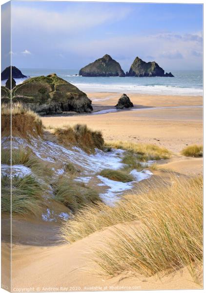 Winter at Holywell Canvas Print by Andrew Ray