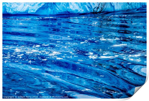 Snow Mountains Blue Glaciers Refection Dorian Bay Antarctica Print by William Perry