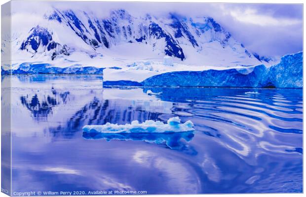 Snow Mountains Blue Glaciers Refection Dorian Bay Antarctica Canvas Print by William Perry