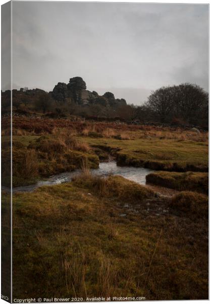 Vixon Tor Dartmoor Canvas Print by Paul Brewer