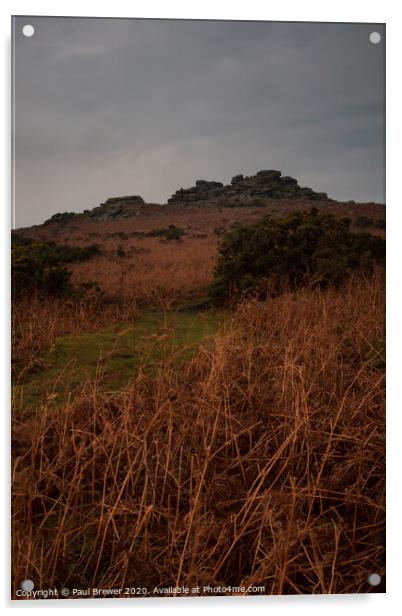 Pew Tor Dartmoor Acrylic by Paul Brewer