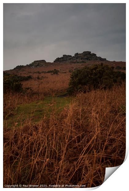Pew Tor Dartmoor Print by Paul Brewer