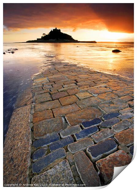 The Causeway (St Michael's Mount) Print by Andrew Ray