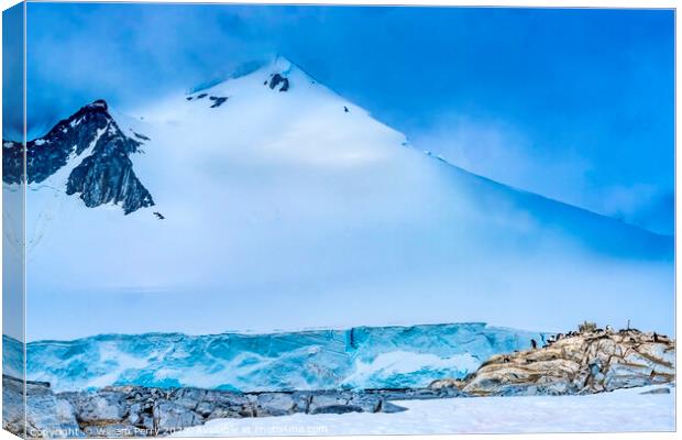 Snow Mountain Blue Glacier Gentoo Penguins Rookery Damoy Point A Canvas Print by William Perry