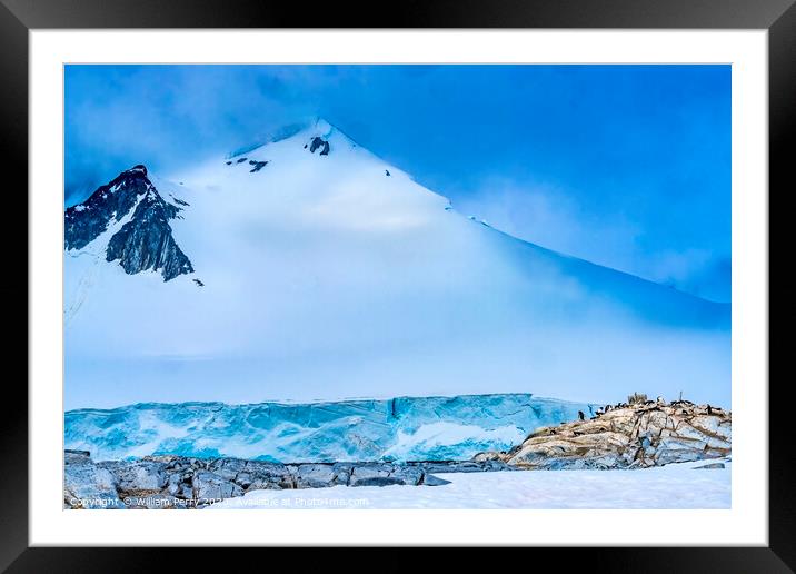 Snow Mountain Blue Glacier Gentoo Penguins Rookery Damoy Point A Framed Mounted Print by William Perry