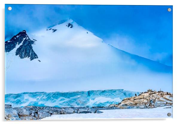 Snow Mountain Blue Glacier Gentoo Penguins Rookery Damoy Point A Acrylic by William Perry