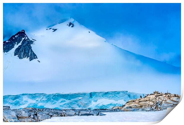 Snow Mountain Blue Glacier Gentoo Penguins Rookery Damoy Point A Print by William Perry