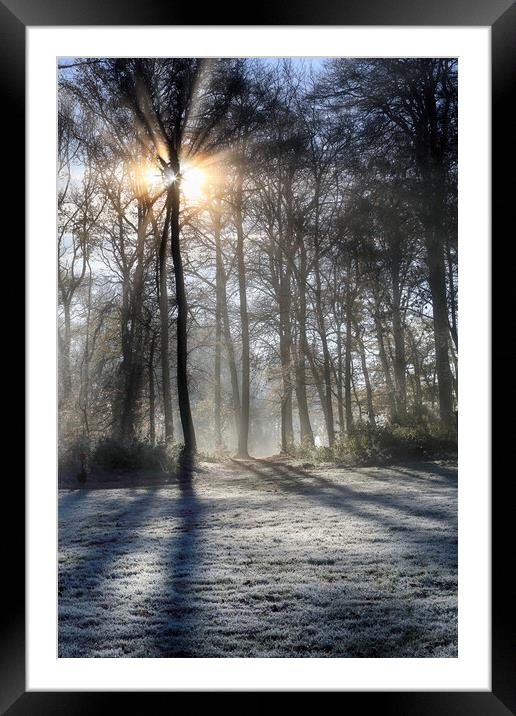 Frosty Morning Woodlands  Framed Mounted Print by Ceri Jones
