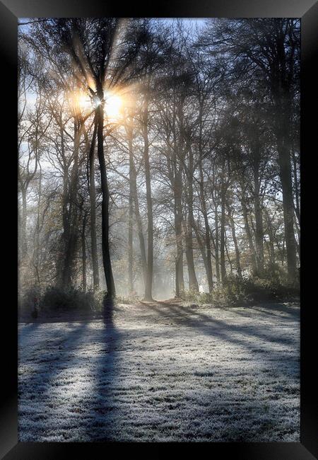 Frosty Morning Woodlands  Framed Print by Ceri Jones