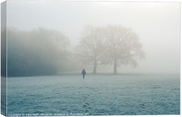 Down the foggy meadow we go Canvas Print by Sara Melhuish