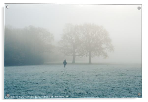 Down the foggy meadow we go Acrylic by Sara Melhuish