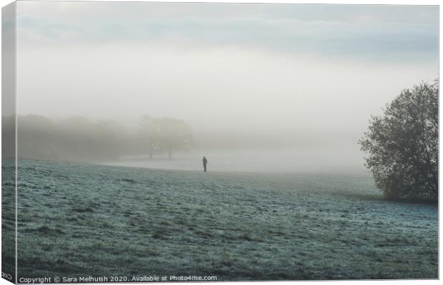 A solitary wander through the misty meadow  Canvas Print by Sara Melhuish