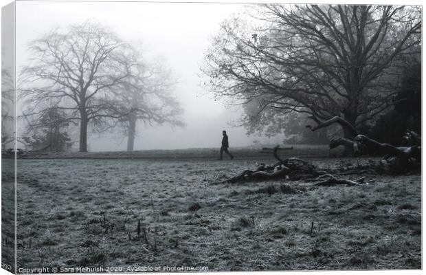 A large tree in a field with man in the background walking through the fog Canvas Print by Sara Melhuish