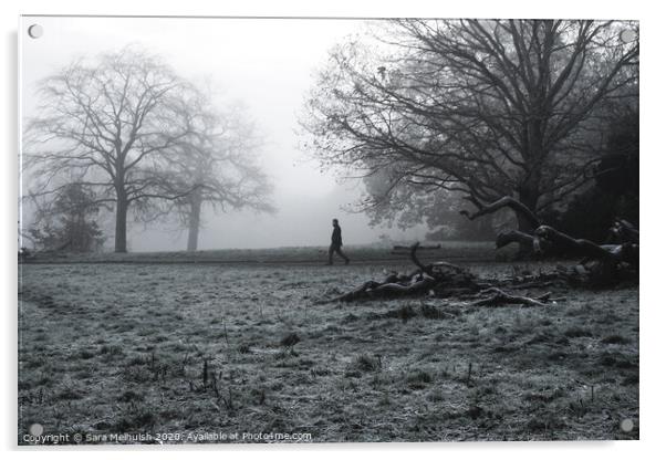 A large tree in a field with man in the background walking through the fog Acrylic by Sara Melhuish