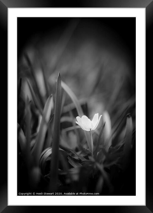 Pure and Simple Framed Mounted Print by Heidi Stewart