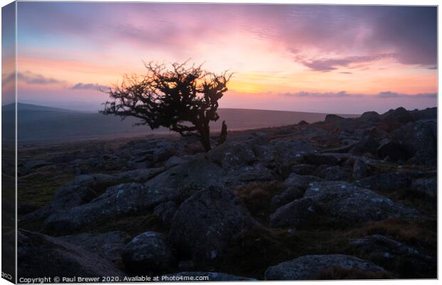 Dartmoor Sunset Canvas Print by Paul Brewer