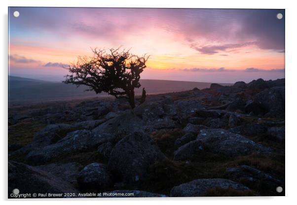 Dartmoor Sunset Acrylic by Paul Brewer