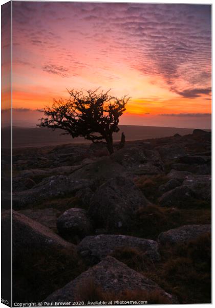Dartmoor Sunset  Canvas Print by Paul Brewer