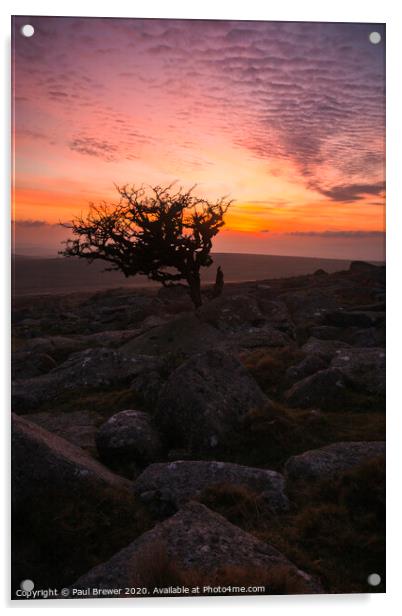 Dartmoor Sunset  Acrylic by Paul Brewer
