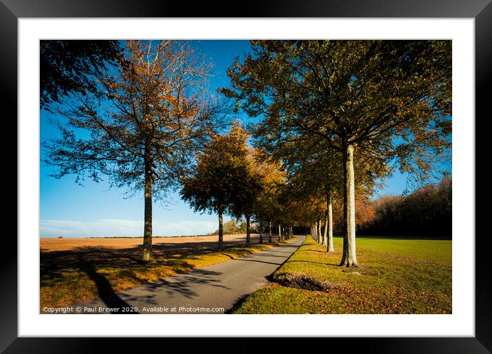 A Sunny Autumn Day Framed Mounted Print by Paul Brewer